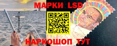 гидропоника Пенза