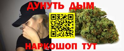 крисы Обь