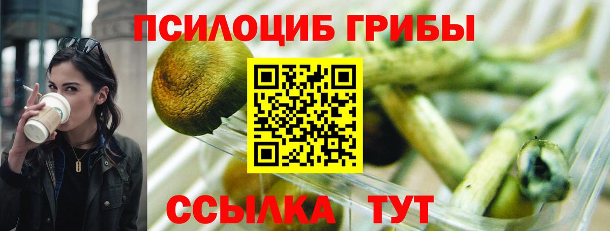 Галлюциногенные грибы Psilocybine cubensis  Вход с VPN  Саянск 